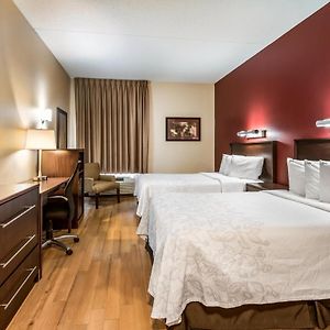 Deluxe Room Two Double Beds Smoke